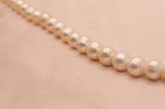 213 Rose Kolye Classic Serisi